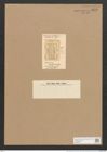 Amphiprora brebissoniana Grev. (de-Toni-Nr.: Genus 29, Species 1356) Zeichnungen Sammlung Grunow Nr. 2576 (NHMW-BOT-W0369761)